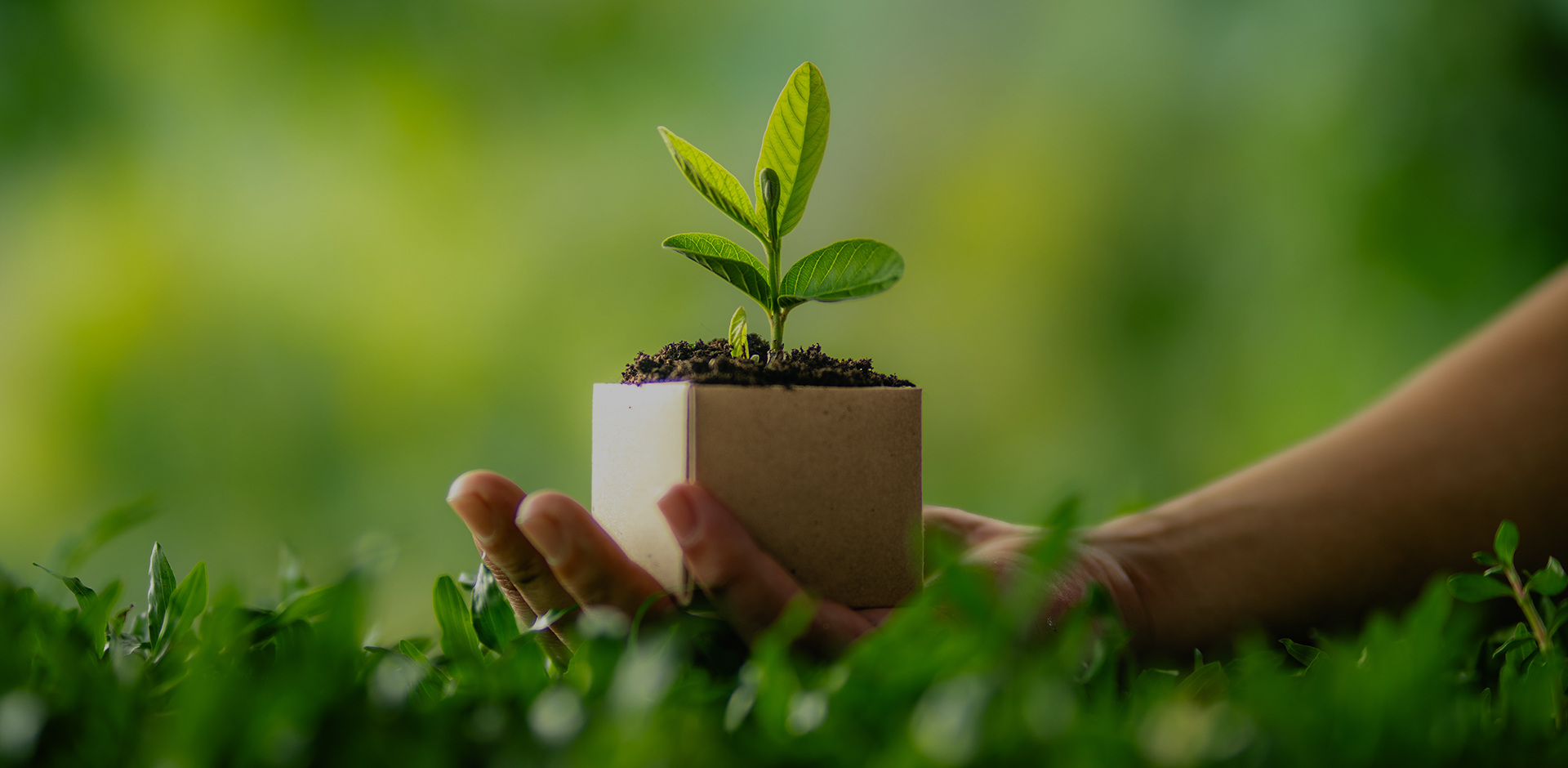 Haining City Bonroy Trading Co., Ltd.