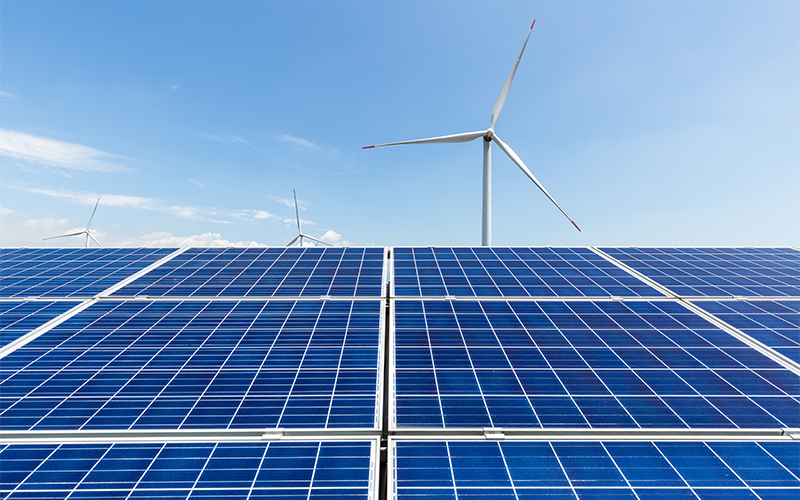 Haining City Bonroy Trading Co., Ltd.