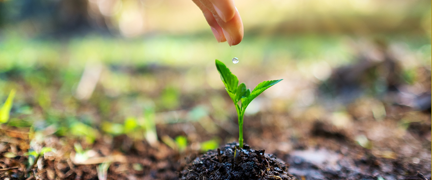 Haining City Bonroy Trading Co., Ltd.